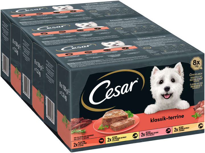 Cesar Hunde-Nassfutter MP Klassik-Terrine Schale, 4 Varietäten 8x150 g